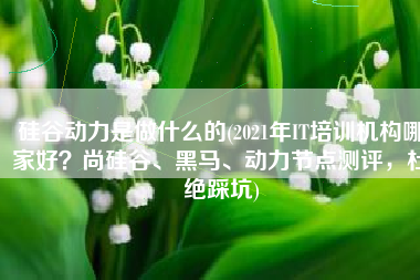 硅谷动力是做什么的(2021年IT培训机构哪家好？尚硅谷、黑马、动力节点测评，杜绝踩坑)