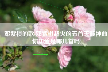 邓紫棋的歌(邓紫棋超火的五首天籁神曲，你知道是哪几首吗)