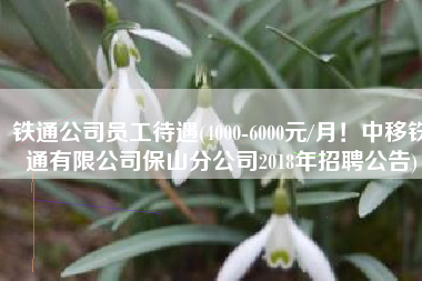 铁通公司员工待遇(4000-6000元/月！中移铁通有限公司保山分公司2018年招聘公告)