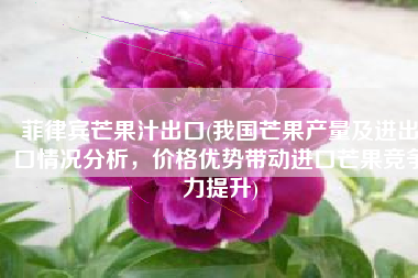 菲律宾芒果汁出口(我国芒果产量及进出口情况分析，价格优势带动进口芒果竞争力提升)