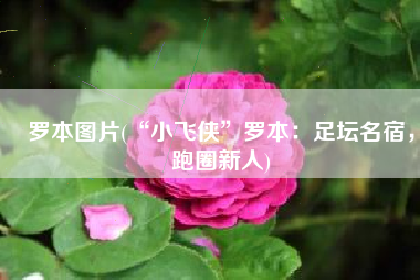 罗本图片(“小飞侠”罗本：足坛名宿，跑圈新人)
