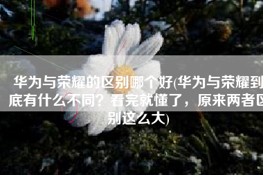 华为与荣耀的区别哪个好(华为与荣耀到底有什么不同？看完就懂了，原来两者区别这么大)
