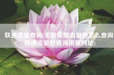 联通流量查询(王者荣耀流量包怎么查询 联通流量包查询用量网址)