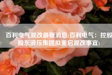百利电气混改最新消息(百利电气：控股股东液压集团拟重启混改事宜)