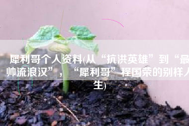 犀利哥个人资料(从“抗洪英雄”到“最帅流浪汉”，“犀利哥”程国荣的别样人生)