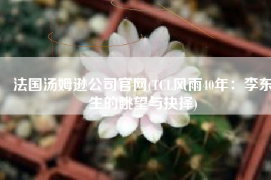 法国汤姆逊公司官网(TCL风雨40年：李东生的眺望与抉择)