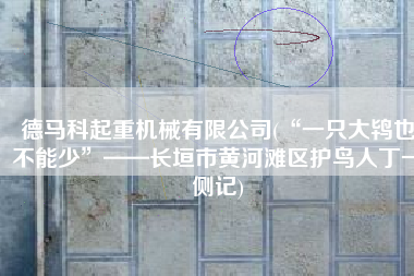 德马科起重机械有限公司(“一只大鸨也不能少”——长垣市黄河滩区护鸟人丁一侧记)