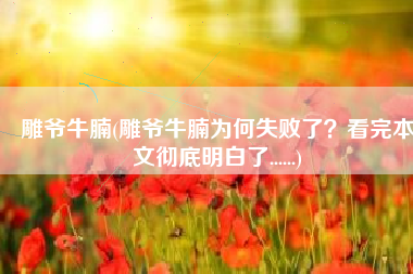 雕爷牛腩(雕爷牛腩为何失败了？看完本文彻底明白了......)