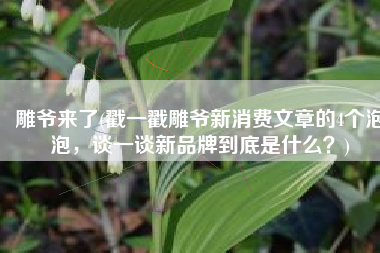 雕爷来了(戳一戳雕爷新消费文章的4个泡泡，谈一谈新品牌到底是什么？)