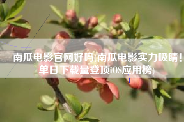 南瓜电影官网好吗(南瓜电影实力吸睛！单日下载量登顶iOS应用榜)