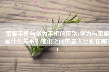 荣耀手机与华为手机的区别(华为与荣耀是什么关系？他们之间的最大区别在哪？)