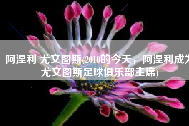 阿涅利 尤文图斯(2010的今天，阿涅利成为尤文图斯足球俱乐部主席)