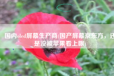 国内oled屏幕生产商(国产屏幕京东方，还是没被苹果看上眼)