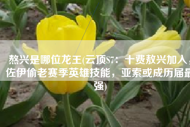 熬兴是哪位龙王(云顶S7：十费敖兴加入，佐伊偷老赛季英雄技能，亚索或成历届最强)