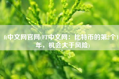 ft中文网官网(FT中文网：比特币的第2个10年，机会大于风险)