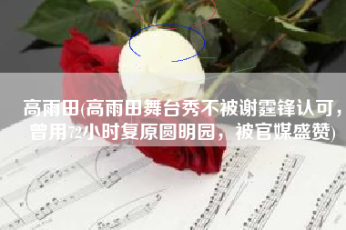 高雨田(高雨田舞台秀不被谢霆锋认可，曾用72小时复原圆明园，被官媒盛赞)