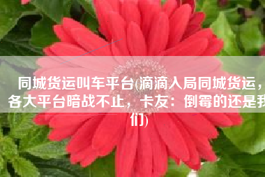 同城货运叫车平台(滴滴入局同城货运，各大平台暗战不止，卡友：倒霉的还是我们)