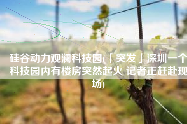 硅谷动力观澜科技园(「突发」深圳一个科技园内有楼房突然起火 记者正赶赴现场)