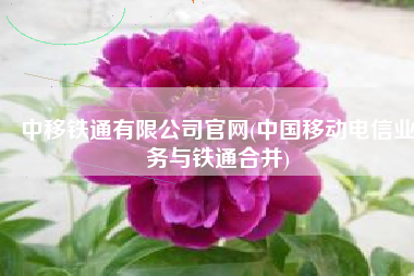 中移铁通有限公司官网(中国移动电信业务与铁通合并)