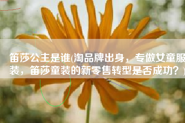 笛莎公主是谁(淘品牌出身，专做女童服装，笛莎童装的新零售转型是否成功？)
