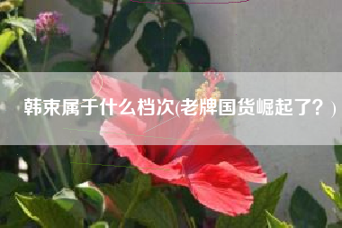 韩束属于什么档次(老牌国货崛起了？)