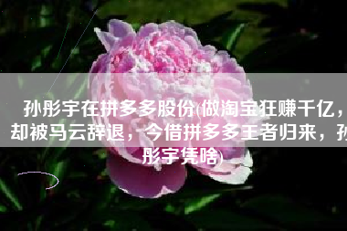 孙彤宇在拼多多股份(做淘宝狂赚千亿，却被马云辞退，今借拼多多王者归来，孙彤宇凭啥)