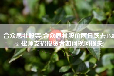 合众思壮股票(合众思壮股价两日跌去16.85% 律师支招投资者如何挽回损失)