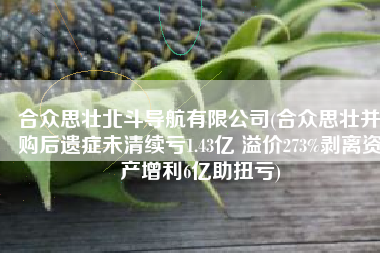 合众思壮北斗导航有限公司(合众思壮并购后遗症未清续亏1.43亿 溢价273%剥离资产增利6亿助扭亏)