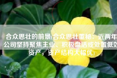 合众思壮的前景(合众思壮董秘：近两年公司坚持聚焦主业、积极盘活或处置低效资产，资产结构大幅优)
