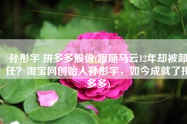 孙彤宇 拼多多股份(跟随马云12年却被卸任？淘宝网创始人孙彤宇，如今成就了拼多多)