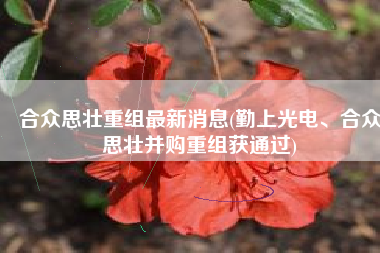 合众思壮重组最新消息(勤上光电、合众思壮并购重组获通过)