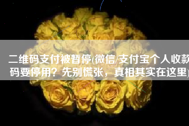 二维码支付被暂停(微信/支付宝个人收款码要停用？先别慌张，真相其实在这里)