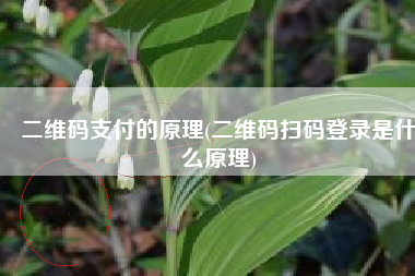 二维码支付的原理(二维码扫码登录是什么原理)