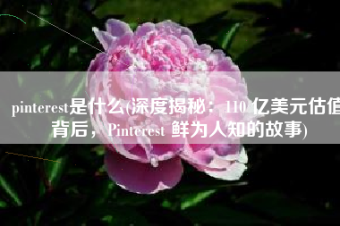 pinterest是什么(深度揭秘：110 亿美元估值背后，Pinterest 鲜为人知的故事)