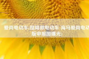爱尚电动车(搅局微电动车 海马爱尚电动版申报图曝光)