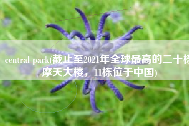 central park(截止至2021年全球最高的二十栋摩天大楼，11栋位于中国)