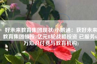 好未来教育集团现状(小鹅通：获好未来教育集团领投1亿元B轮战略投资 已服务68万知识付费与教育机构)