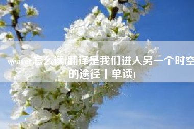 weaver怎么读(翻译是我们进入另一个时空的途径丨单读)