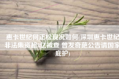惠卡世纪何正松现况如何(深圳惠卡世纪非法集资超3亿被查 曾发奇葩公告请国家庇护)