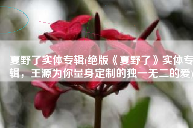夏野了实体专辑(绝版《夏野了》实体专辑，王源为你量身定制的独一无二的爱)