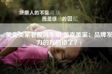 美克美家老板冯东明(美克美家：品牌发力的方向错了？)