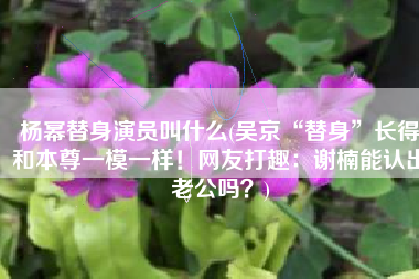 杨幂替身演员叫什么(吴京“替身”长得和本尊一模一样！网友打趣：谢楠能认出老公吗？)