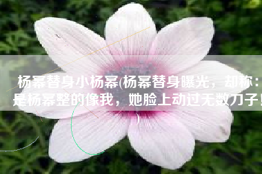 杨幂替身小杨幂(杨幂替身曝光，却称：是杨幂整的像我，她脸上动过无数刀子！)