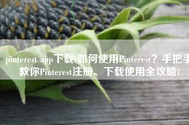 pinterest app下载(如何使用Pinterest？手把手教你Pinterest注册、下载使用全攻略)