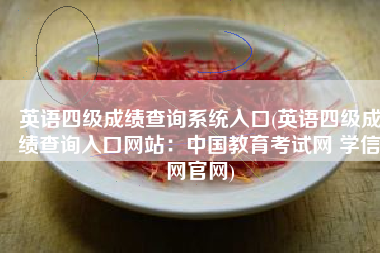 英语四级成绩查询系统入口(英语四级成绩查询入口网站：中国教育考试网 学信网官网)
