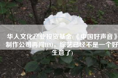 华人文化产业投资基金(《中国好声音》制作公司再闯IPO，综艺已经不是一个好生意了)