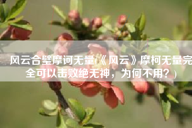 风云合璧摩诃无量(《风云》摩柯无量完全可以击败绝无神，为何不用？)