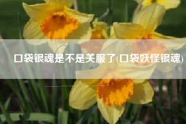 口袋银魂是不是关服了(口袋妖怪银魂)