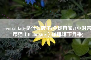 central kitty是什么牌子(全球首家24小时吉蒂猫（Hello Kitty）咖啡馆下月来)