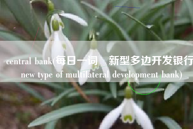 central bank(每日一词∣新型多边开发银行 new type of multilateral development bank)
